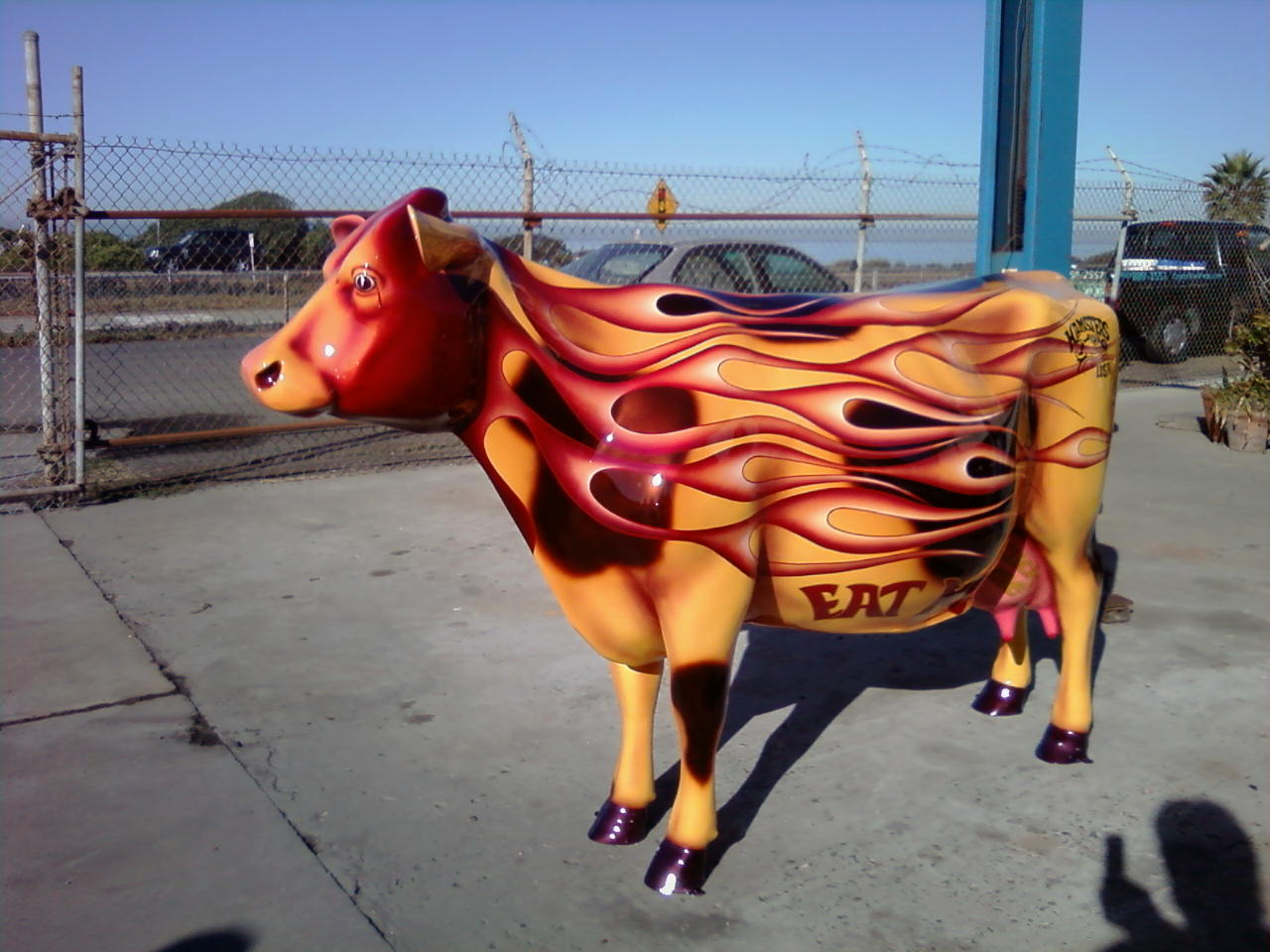 UrbanCow2